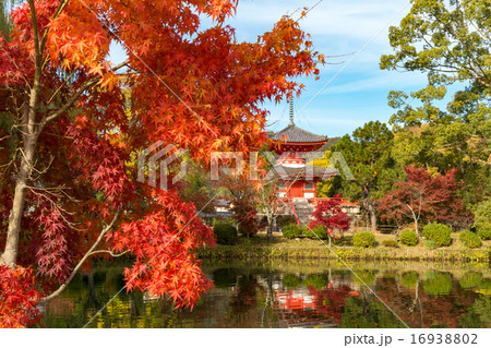 大覚寺門跡 16938802