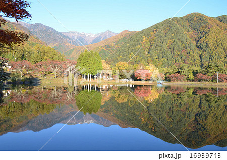 冠雪した宝剣山と紅葉の駒池 冠雪した宝剣山と紅葉の駒池 16939743