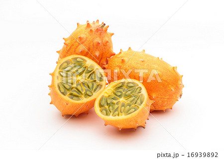 ツノニガウリ ツノニガウリ 16939892