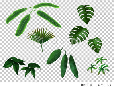 Southern Country Style Leaves White Stock Illustration