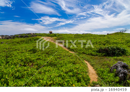 岬にある屋根つきの拝所 16940459