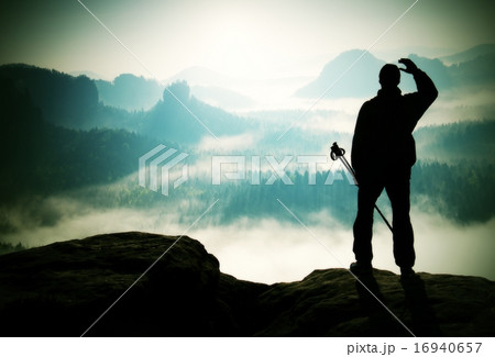 Misty day  Silhouette of tourist with pole in hand 16940657