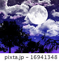 月夜 16941348