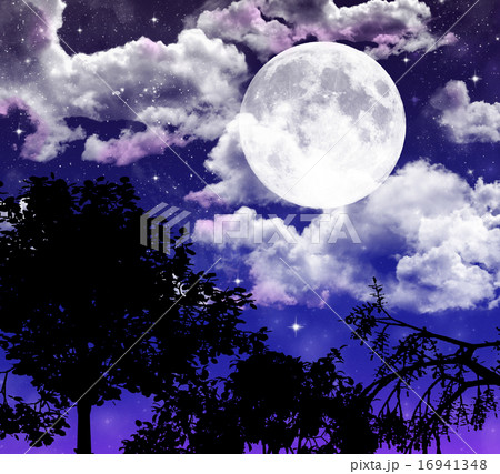 月夜のイラスト素材 月夜のイラスト素材