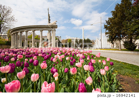 Schwarzenbergplatz 16942141