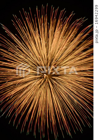 信州千曲市千曲川納涼煙火大会 信州千曲市千曲川納涼煙火大会 16942299