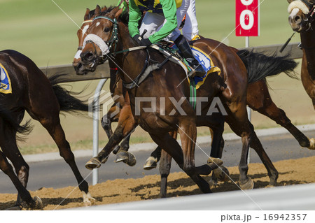 Horse Racing Action Horse Racing Action 16942357