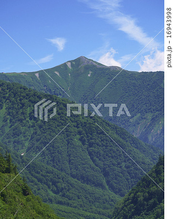 爺ヶ岳南峰 16943998