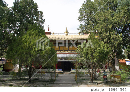 ノルブリンカ ノルブリンカ 16944542