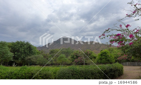 アルナーチャラ 16944586