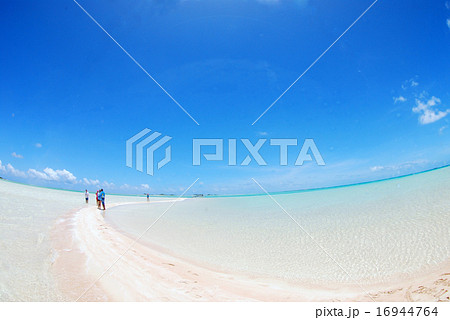 タヒチの青い海 16944764