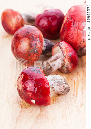 Fresh Rosy Russula fungi on wooden plate 16945574