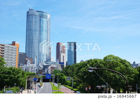 南青山陸橋から六本木ヒルズを望む(東京都港区) 南青山陸橋から六本木ヒルズを望む(東京都港区) 16945667