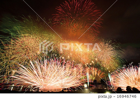 淀川花火大会 淀川花火大会 16946746