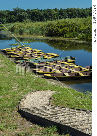 Boats in the swamp 16947034