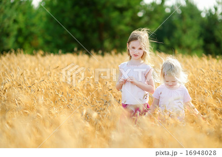 Two little sisters walking happily in wheat field Two little sisters walking happily in wheat field 16948028