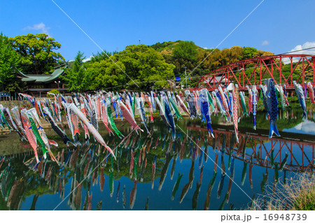 川上峡の鯉のぼり 16948739
