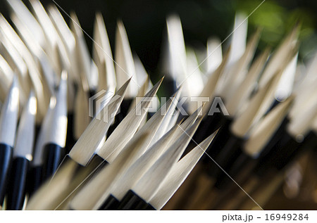 筆の乾燥風景 広島/熊野 筆の乾燥風景 広島/熊野 16949284