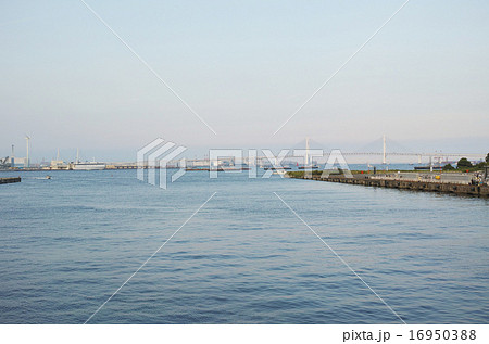 みなとみらい橋から横浜ベイブリッジが見える横浜港湾の風景 16950388