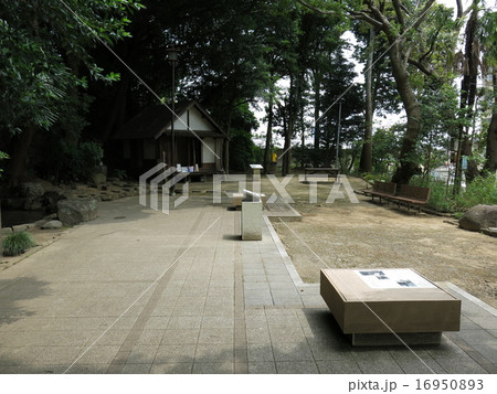 我孫子市の志賀直哉邸跡 16950893