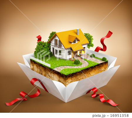 White house 16951358