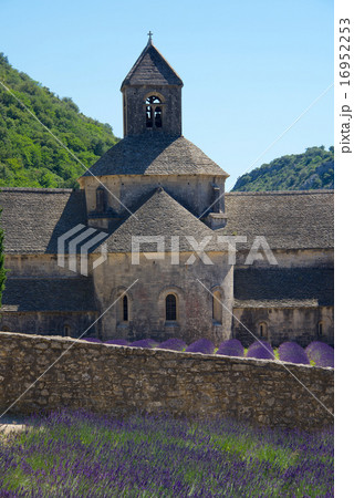 セナンク修道院とラヴェンダー畑  セナンク修道院とラヴェンダー畑  16952253