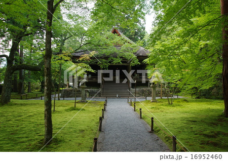 三千院 往生極楽院 三千院 往生極楽院 16952460