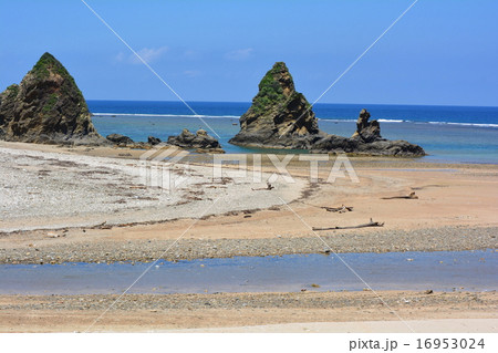 楚洲海岸・沖縄本島北部 16953024