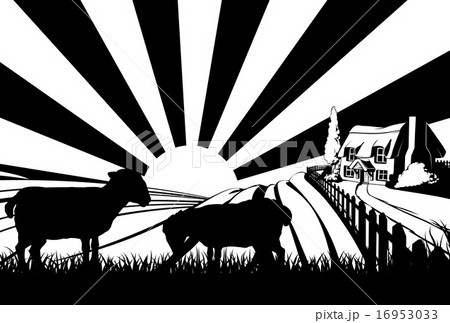 Sheep field concept Sheep field concept 16953033