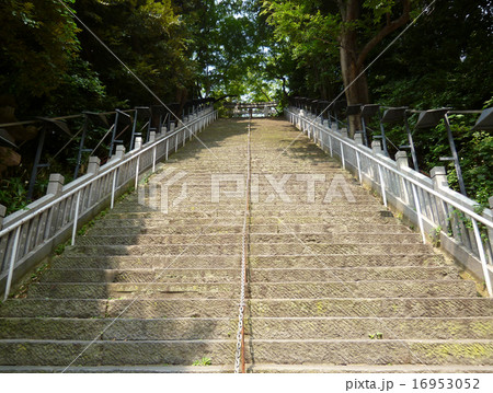 愛宕神社 出世の石段 愛宕神社 出世の石段 16953052