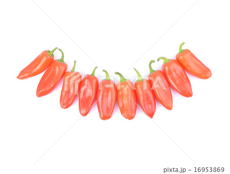 red paprika pepper isolated 16953869