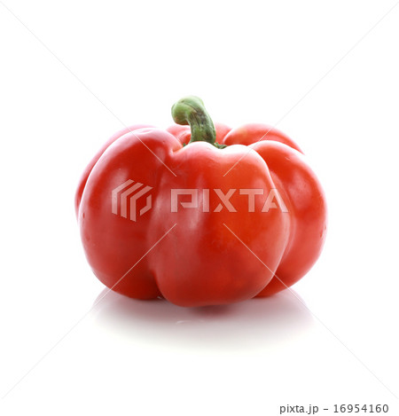 pepper on white background 16954160