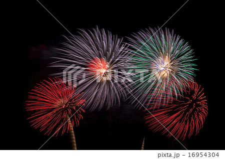 花火(夏) 16954304
