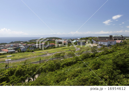 湘南国際村 16954612