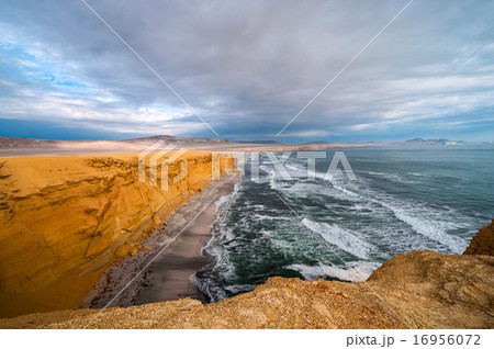 Peruvian Coastline, Paracas National Reserve 16956072