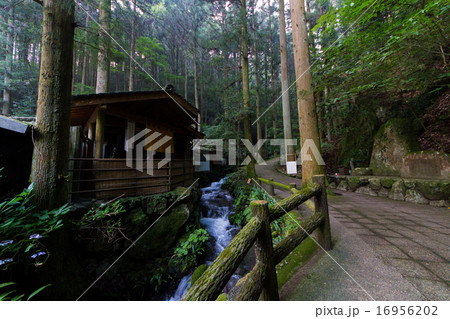 愛媛県　観音水　入口 16956202