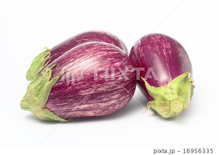 イタリア茄子 イタリア茄子 16956335