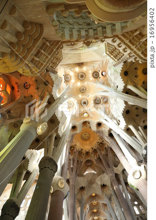 サグラダ・ファミリア聖堂の聖堂内 16956402