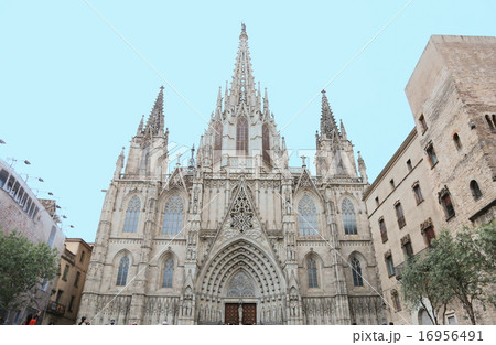 バルセロナのカテドラル バルセロナのカテドラル 16956491