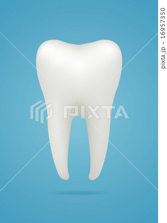 Tooth icon Tooth icon 16957350