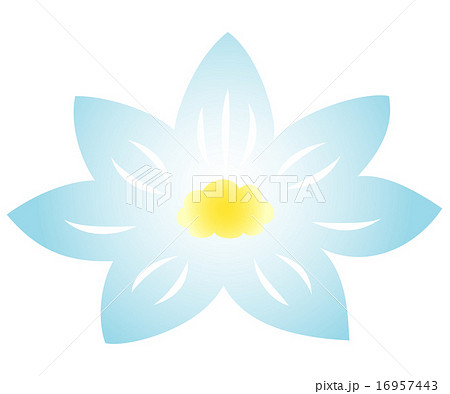 蓮の花 16957443