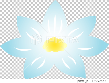 Lotus flower Lotus flower 16957443