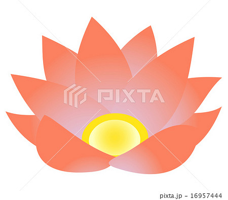 蓮の花のイラスト素材
