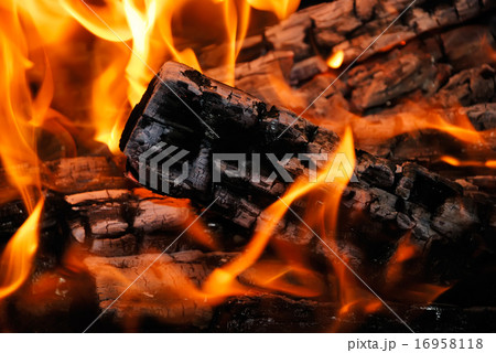 Closeup of the burning fire woods Closeup of the burning fire woods 16958118