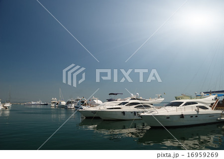 White yachts on an anchor 16959269