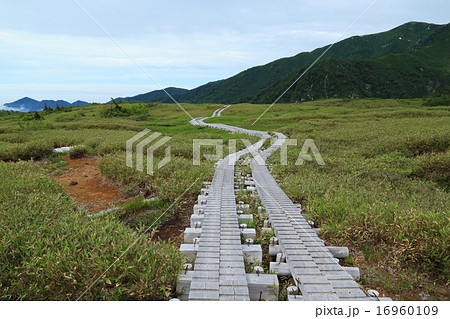 弥陀ヶ原 16960109