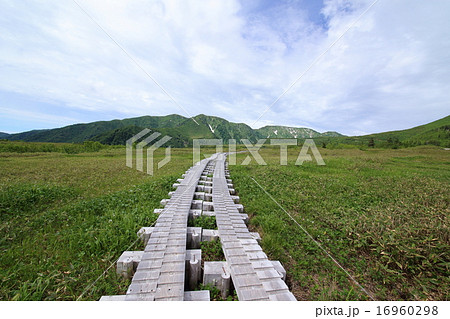 弥陀ヶ原 16960298