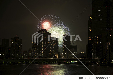 東京湾大華火祭 2015年8月8日 東京湾大華火祭 2015年8月8日 16960547