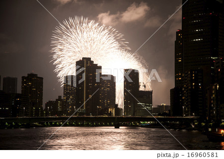 東京湾大華火祭　２０１５年８月８日 16960581