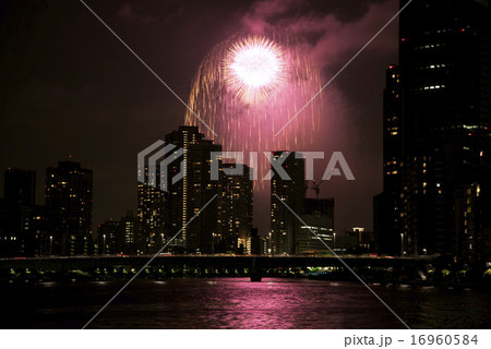 東京湾大華火祭　２０１５年８月８日 16960584